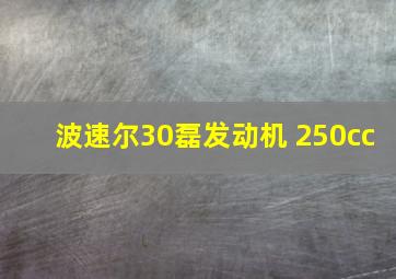 波速尔30磊发动机 250cc